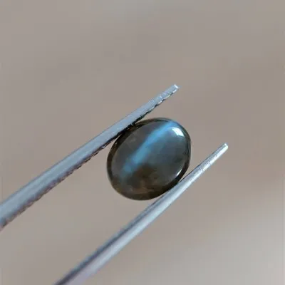 Alexandrite cat eye cabochon - 2.62 ct Sri Lanka GIA certificate