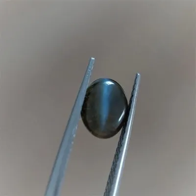 Alexandrite cat eye cabochon - 2.62 ct Sri Lanka GIA certificate
