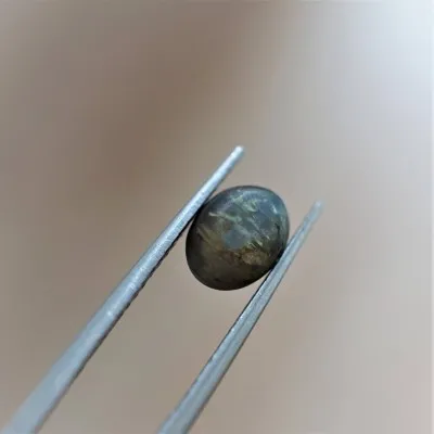 Alexandrite cat eye cabochon - 2.62 ct Sri Lanka GIA certificate