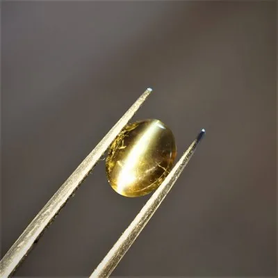 Alexandrite cat eye cabochon - 2.62 ct Sri Lanka GIA certificate