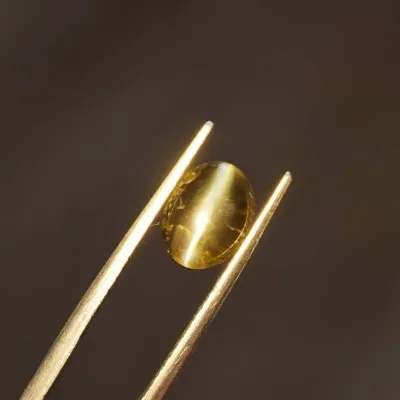 Alexandrite cat eye cabochon - 2.62 ct Sri Lanka GIA certificate