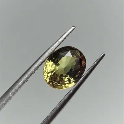 Alexandrite - 2.58 ct Sri Lanka CGL certificate member of the GIA Association