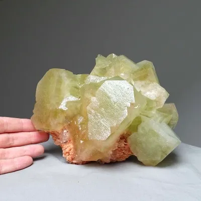 Green apophyllite, stilbit druse 1574g, India