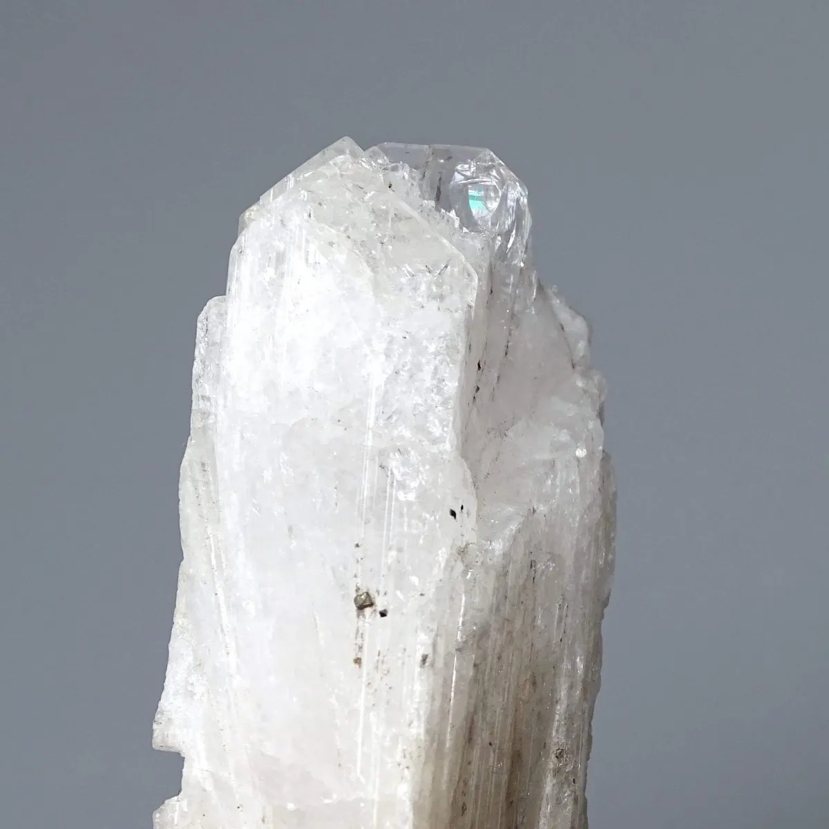 Danburite natural crystal 41.2g, Mexico