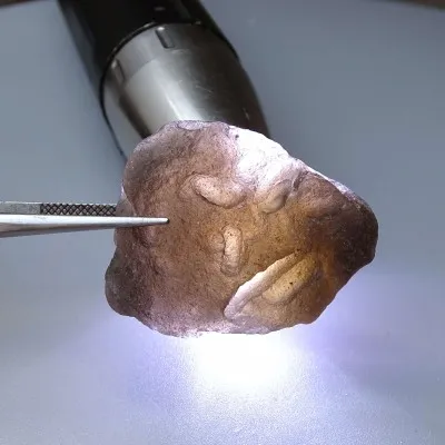 Agni Manitite Tektit 21,7g, Indonesien