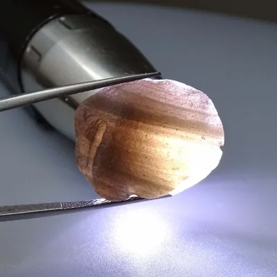 Agni Manitite tektit 14,2g, Indonésie