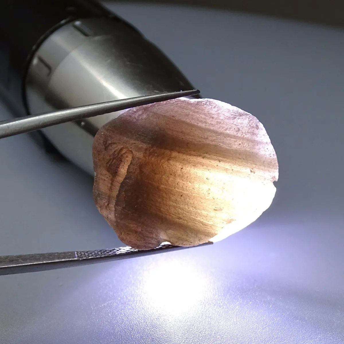 Agni Manitite Tektit 14,2g, Indonesien
