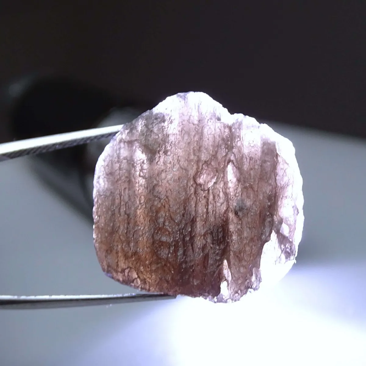 Agni Manitite Tektit 10,8g, Indonesien