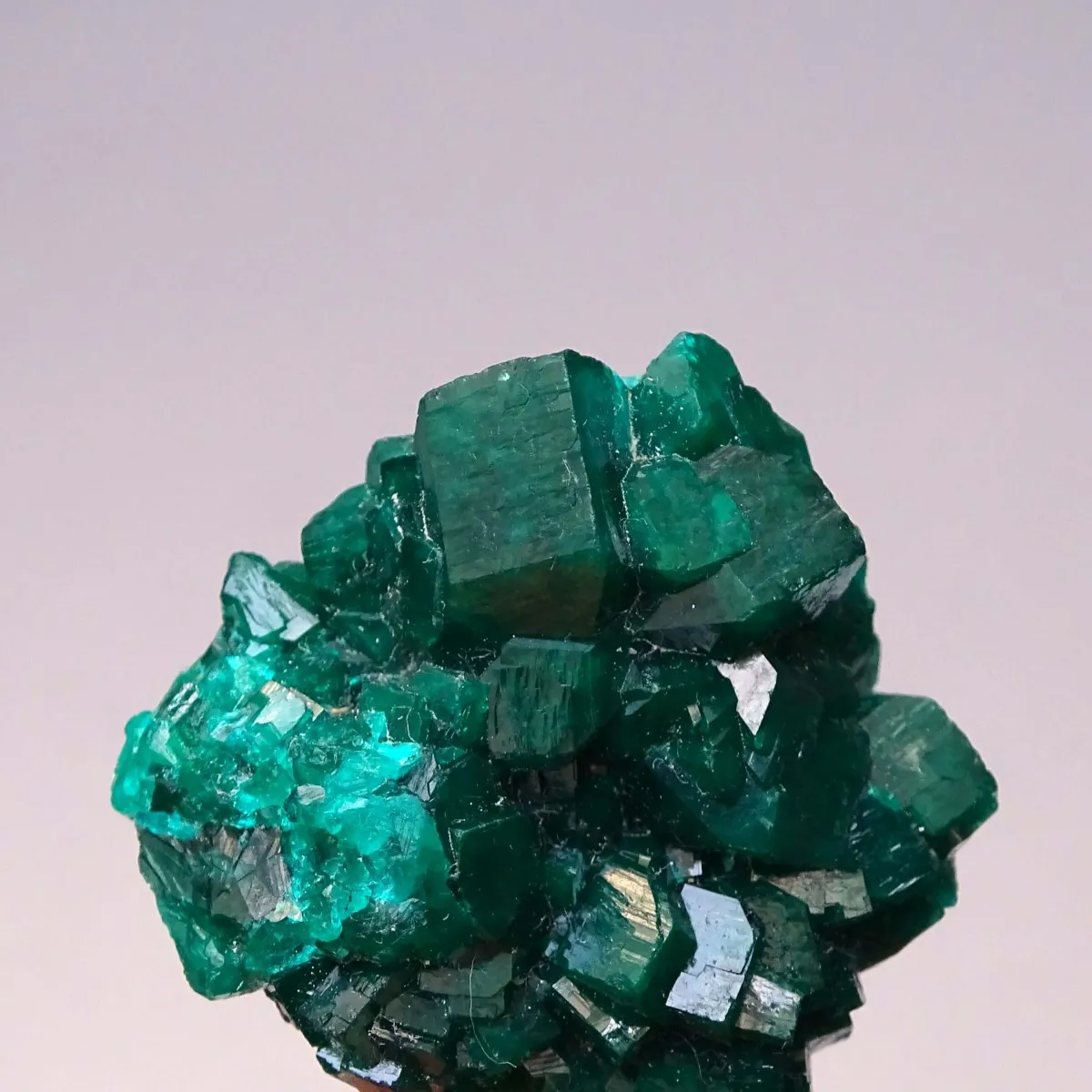 Dioptas natural crystals 14.4g, Congo | MINERALS-STONES