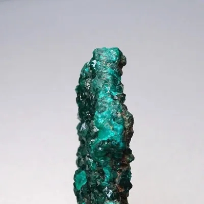 Dioptas natürliche Kristalle 53,9g, Kongo | MINERALS-STONES