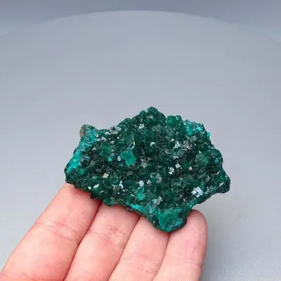 Dioptas natürliche Kristalle 53,9g, Kongo | MINERALS-STONES