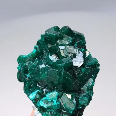Dioptas natürliche Kristalle 50,8g, Kongo | MINERALS-STONES