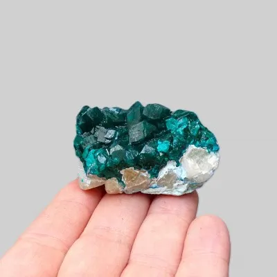 Dioptas natürliche Kristalle 50,8g, Kongo | MINERALS-STONES