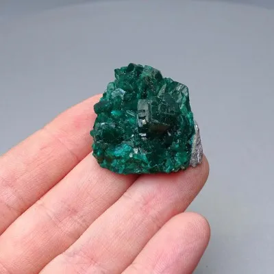 Dioptas natürliche Kristalle 19,7g, Kongo | MINERALS-STONES