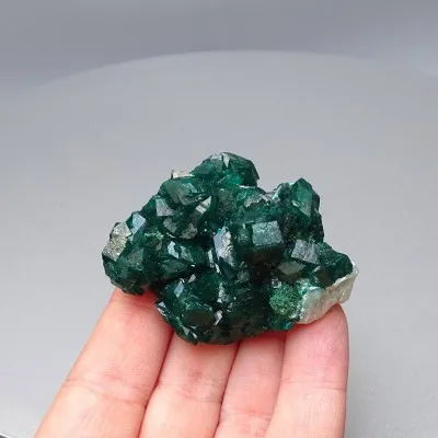 Dioptas natürliche Kristalle 54,7g, Kongo | MINERALS-STONES