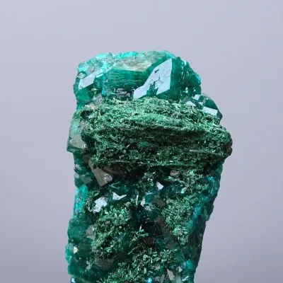 Dioptas natürliche Kristalle 41g, Kongo | MINERALS-STONES