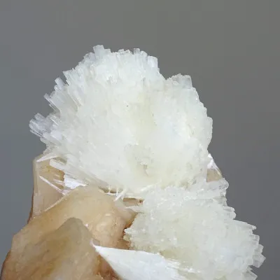 Scolecit auf Stilbit-Druse, 744g, Indien | Minerals-Stones®