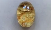 Lodolite (quartz crystal with inclusions)