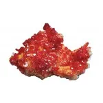 Vanadinit přírodní krystaly | Minerals-stones