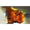 Amber – natural fossilized resin | Minerals-stones