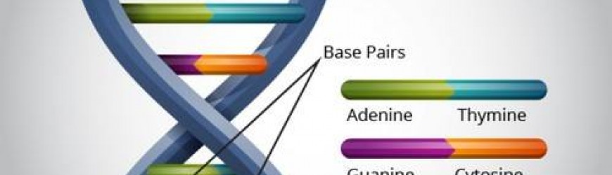 Minerals and the body's biofrequency